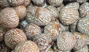 GST Relief Fails to Lower Doma Prices, Buyers Left Frustrated