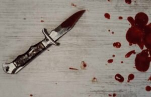 Minor Admits to Murder of Elderly Woman Following Sudden Rage