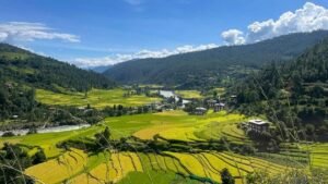 Bhutan’s Rice Bowl Faces Growing Pressure from Climate Change