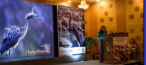 Conservation Success Continues as Bhutan Achieves New Milestone