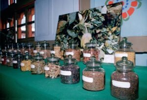 Preserving the Past, Healing the Future: Bhutan’s New Era of Traditional Medicine