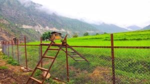 Bhutan Spends Nu 1.5 million Per Kilometers on Chain-Link Fencing to Combat Human-Wildlife Conflict