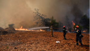 Heatwave and Drought Drive Devastating Forest Fires in Serbia
