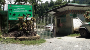 Jigmeling wildlife rescue and rehabilitation centre opens its doors to visitors
