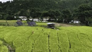 Empowering women through solar-powered irrigation